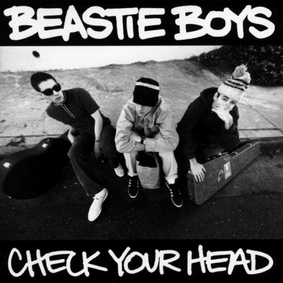 paroles Beastie Boys Dub The Mic