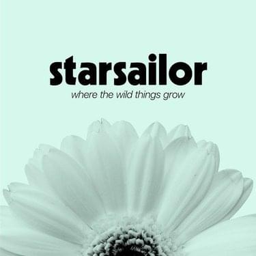 paroles Starsailor Flowers