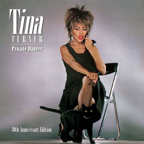 paroles Tina Turner Private Dancer