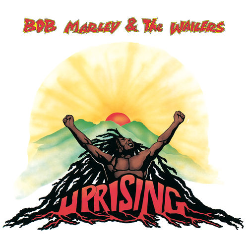paroles Bob Marley Real situation